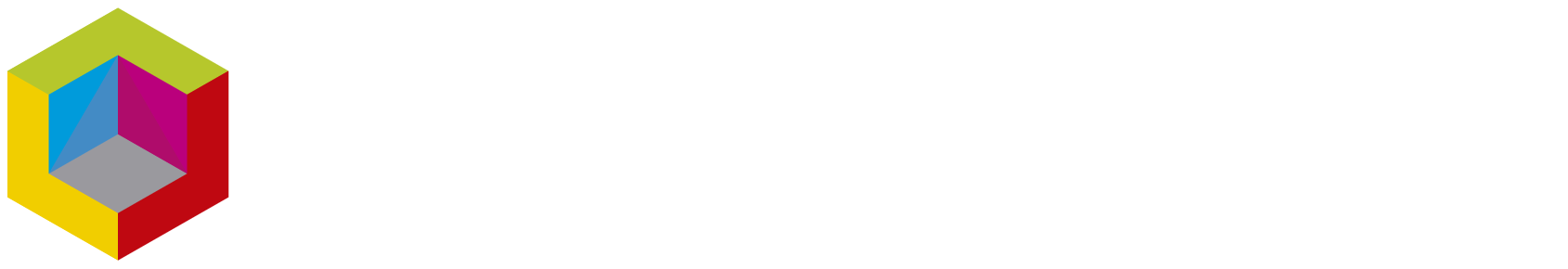Logotipo de NemeSys 2.0